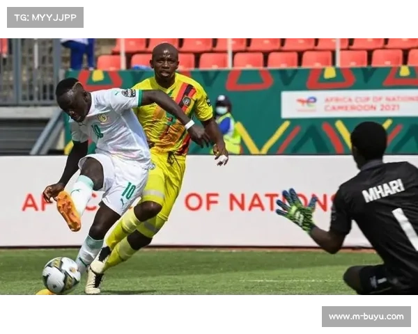 非洲杯决赛现场球迷冲突，安保加强维持秩序